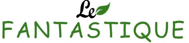 Le Fantastique
